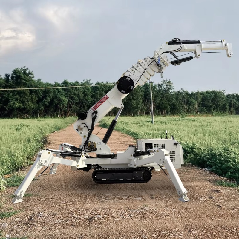 Compact Crawler Boom Lift - Mini Gru Compatta a Ragno con