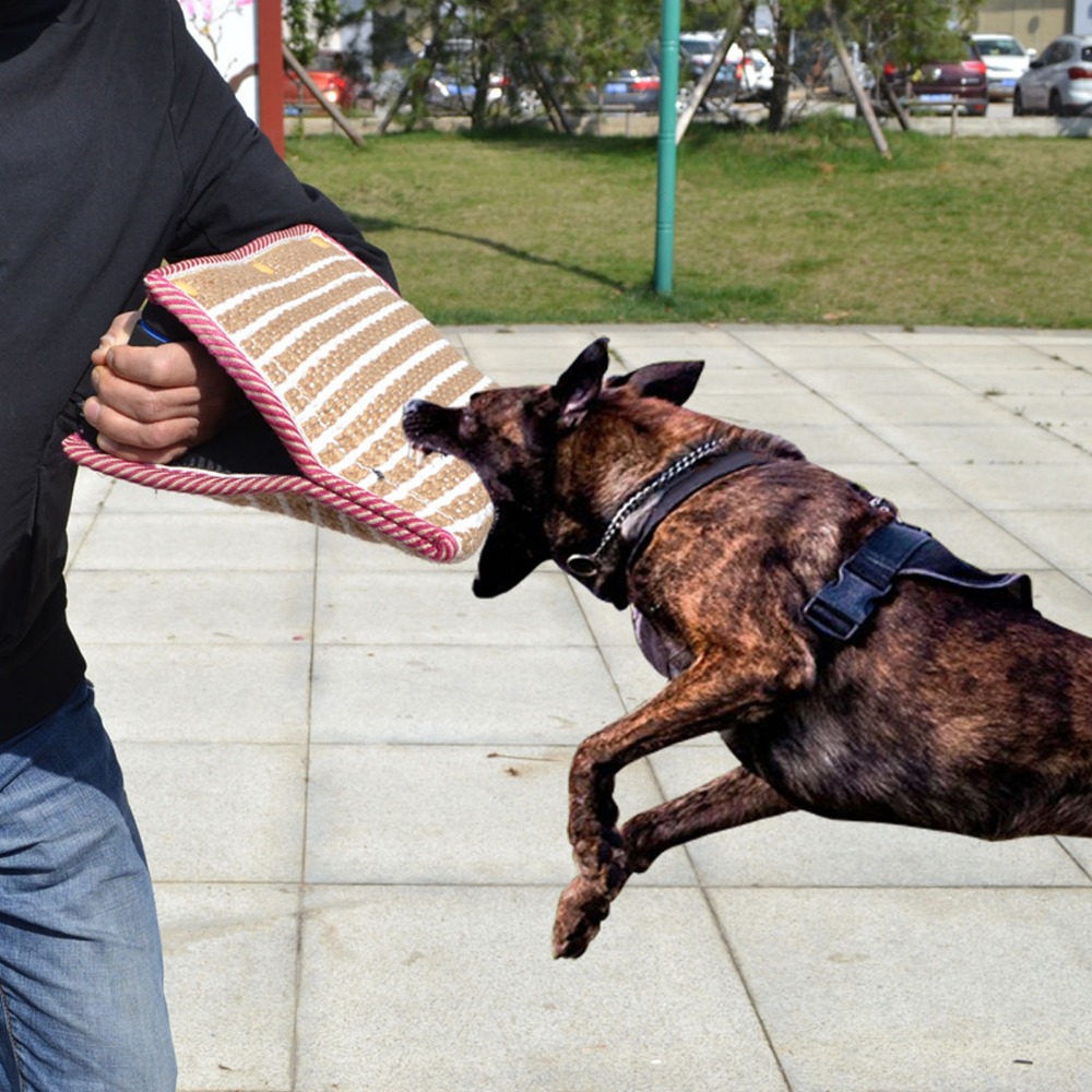Heavy Equipment Cat - Cuscino per morsi di cane in